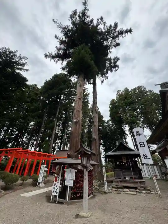 櫛引八幡宮(青森県)