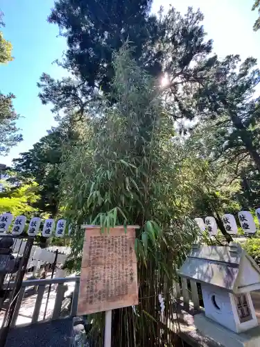 田村神社(滋賀県)
