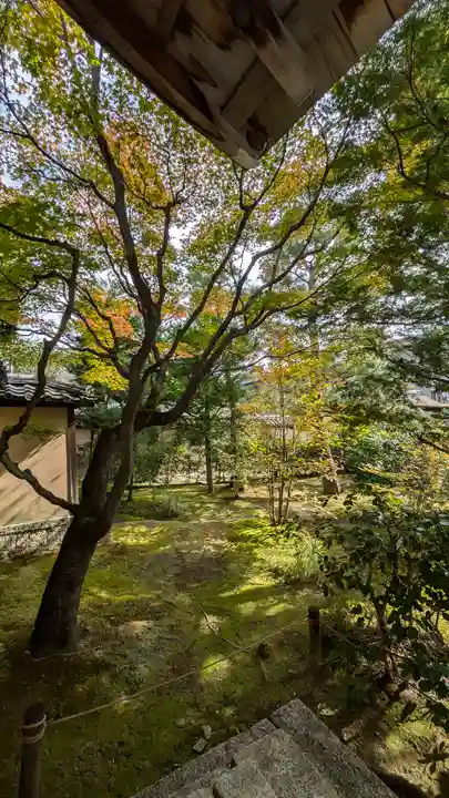 大仙院(京都府)