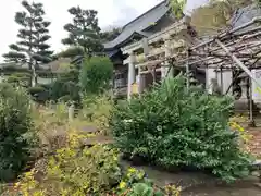 白山媛神社(新潟県)