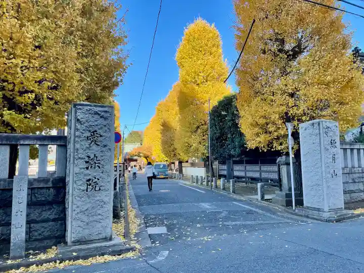 愛染院(東京都)