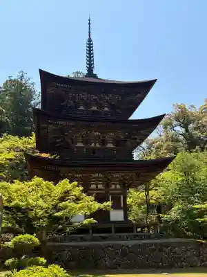 西明寺の{uncategorized: "未分類", other: "その他", undefined: "問題あり", building: "その他建物", grave: "お墓", sacred_gate: "鳥居", guardian: "狛犬", statue: "像", buddha: "仏像", history: "歴史", nature: "自然", garden: "庭園", animal: "動物", pagoda: "塔", temizu: "手水舎", mountain_gate: "山門・神門", sanctuary: "本殿・本堂", subordinate: "末社・摂社", art: "芸術", scenery: "景色", jizo: "地蔵", ema: "絵馬", goshuin: "御朱印", omikuji: "おみくじ", items: "授与品その他", amulet: "お守り", goshuincho: "御朱印帳", eats: "食事", festival: "お祭り", votive_dance: "神楽", shichigosan: "七五三参", wedding: "結婚式", experience: "体験その他", initially: "初詣", around: "周辺", anti_infection: "感染症対策"}