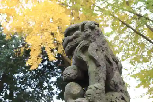 熊野福藏神社の狛犬