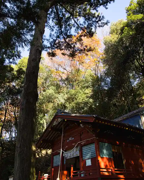 小幡八幡宮(群馬県)