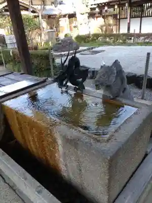 沙沙貴神社の手水舎
