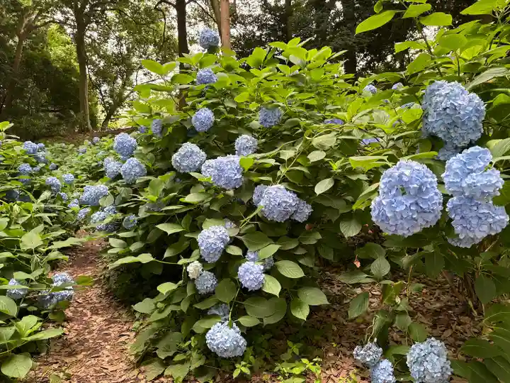大宝八幡宮(茨城県)