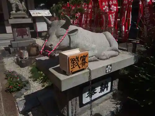 白山比咩神社の狛犬