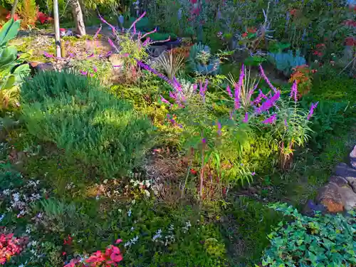 寿量山　速成寺(奈良県)