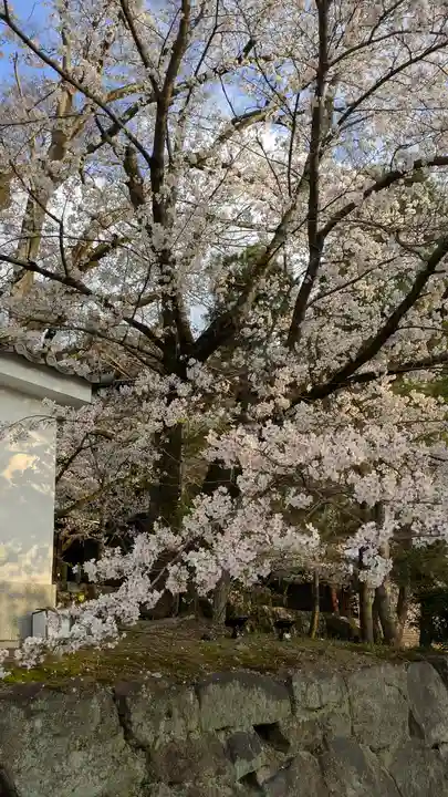 知恩院(京都府)