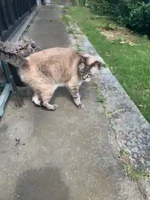 鴨鳥五所神社(茨城県)