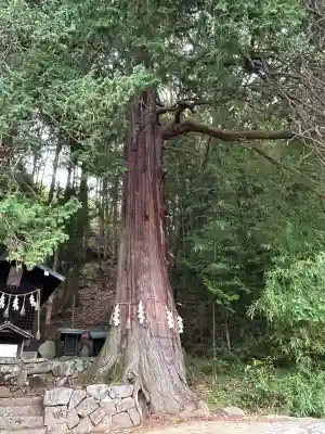 鎮神社(長野県)