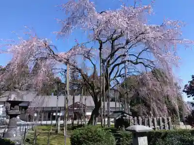 足羽神社(福井県)