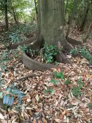天道宮神明社（前原）(愛知県)