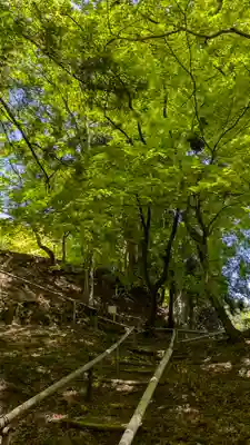 成相寺(京都府)
