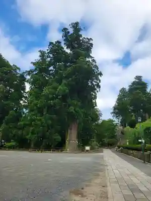 清澄寺(千葉県)