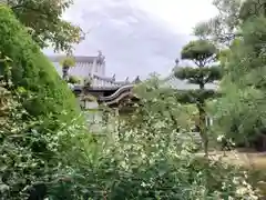 圓通寺の自然