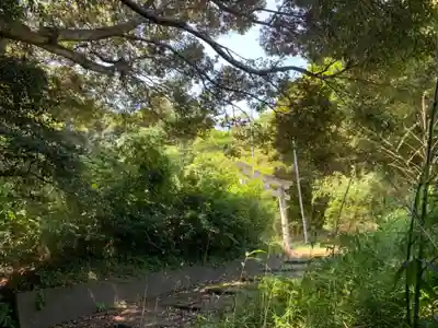 浅間神社の周辺