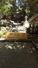 須賀神社の建物その他