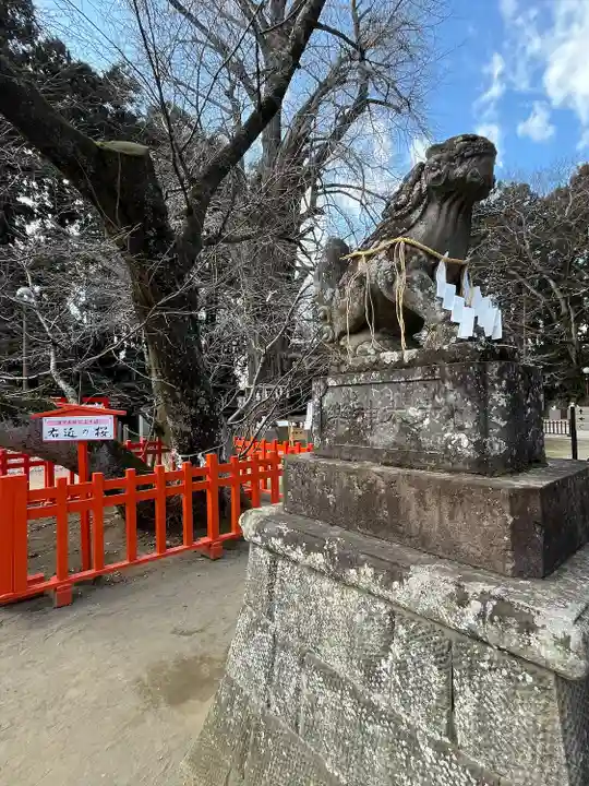 水戸八幡宮(茨城県)