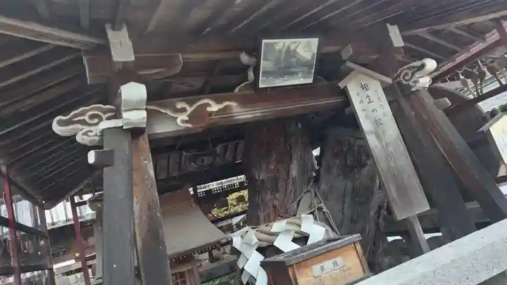 松尾大社(京都府)