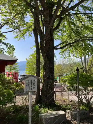 中禅寺(栃木県)