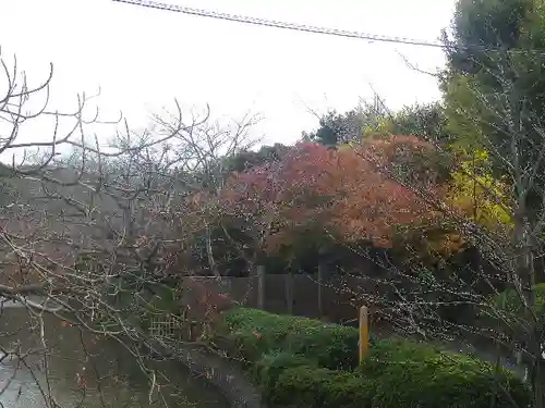 鶴岡八幡宮の庭園