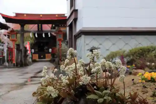 大鏑神社の景色