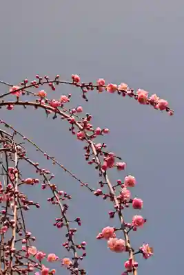 西方寺(広島県)