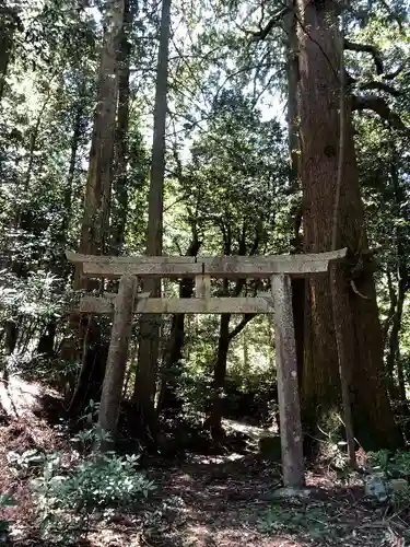 鷹鳥屋神社の鳥居