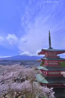 新倉富士浅間神社(山梨県)