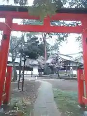 久我山稲荷神社の鳥居