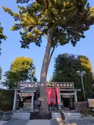 中野沼袋氷川神社(東京都)