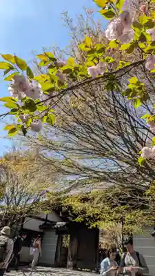 住吉大伴神社(京都府)