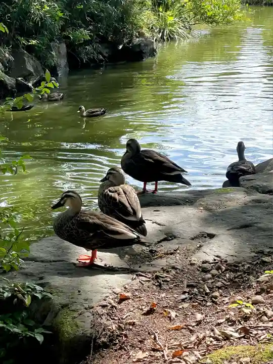 乃木神社(栃木県)