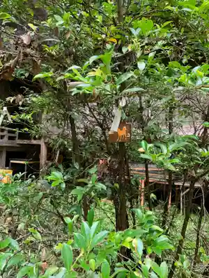加茂神社(栃木県)