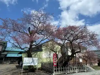 志賀理和氣神社(岩手県)