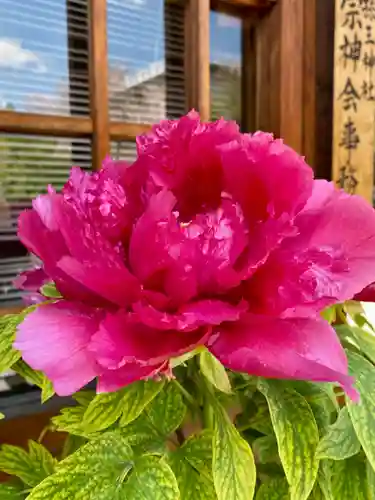 六孫王神社の自然