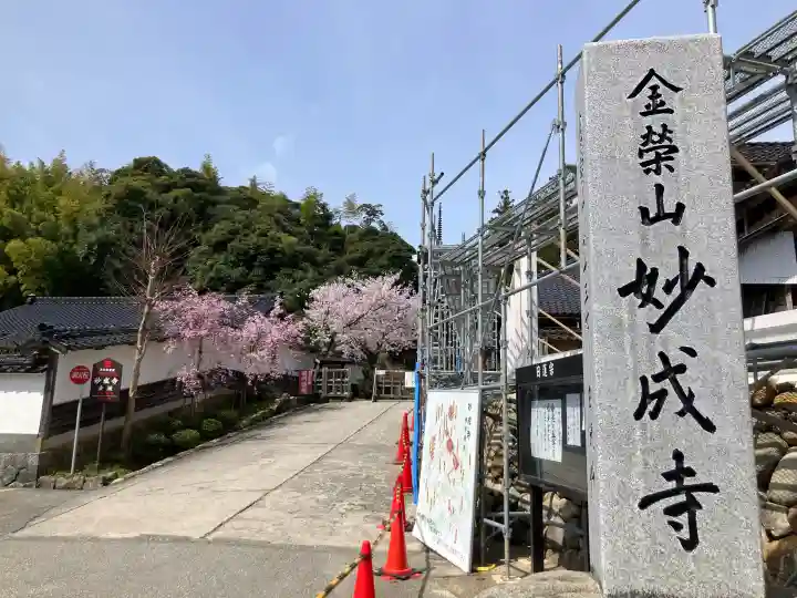 妙成寺の{uncategorized: "未分類", other: "その他", undefined: "問題あり", building: "その他建物", grave: "お墓", sacred_gate: "鳥居", guardian: "狛犬", statue: "像", buddha: "仏像", history: "歴史", nature: "自然", garden: "庭園", animal: "動物", pagoda: "塔", temizu: "手水舎", mountain_gate: "山門・神門", sanctuary: "本殿・本堂", subordinate: "末社・摂社", art: "芸術", scenery: "景色", jizo: "地蔵", ema: "絵馬", goshuin: "御朱印", omikuji: "おみくじ", items: "授与品その他", amulet: "お守り", goshuincho: "御朱印帳", eats: "食事", festival: "お祭り", votive_dance: "神楽", shichigosan: "七五三参", wedding: "結婚式", experience: "体験その他", initially: "初詣", around: "周辺", anti_infection: "感染症対策"}
