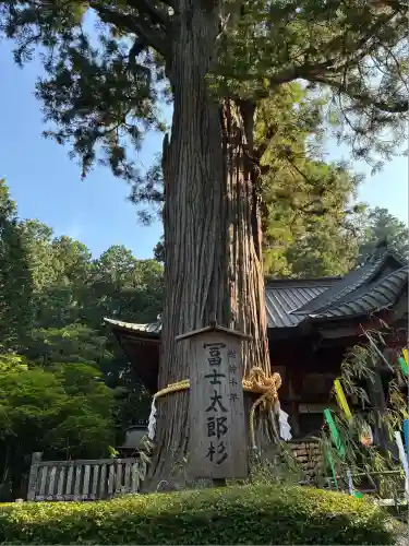 北口本宮冨士浅間神社(山梨県)
