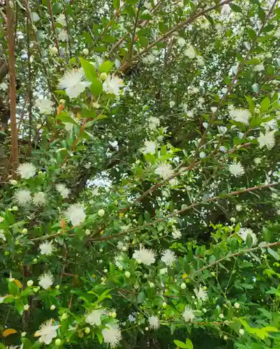 東光院(大阪府)