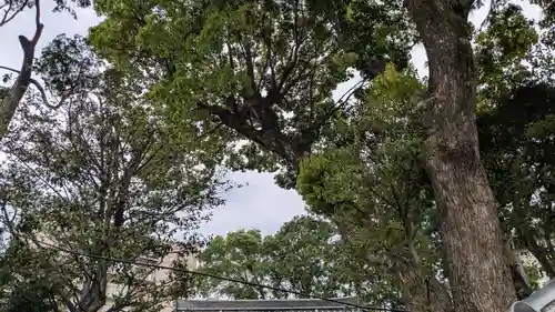 宮地嶽神社の自然