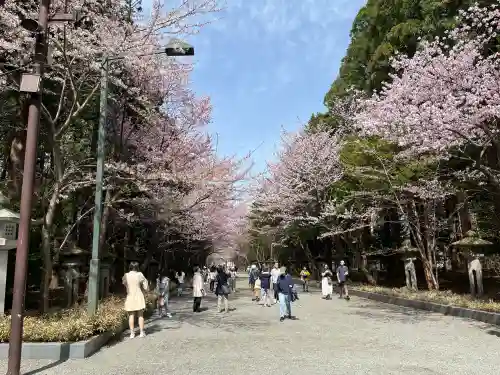 北海道神宮(北海道)