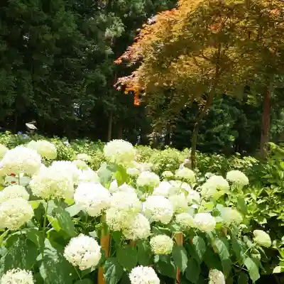 弘長寺(長野県)