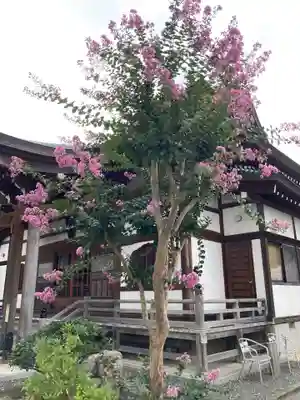 圓隆寺(神奈川県)