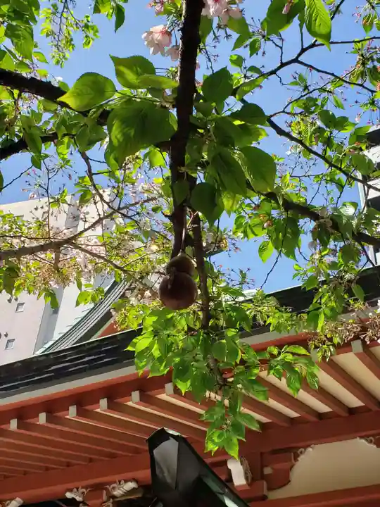秋葉神社(東京都)