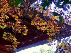 出羽神社(出羽三山神社)～三神合祭殿～の建物その他