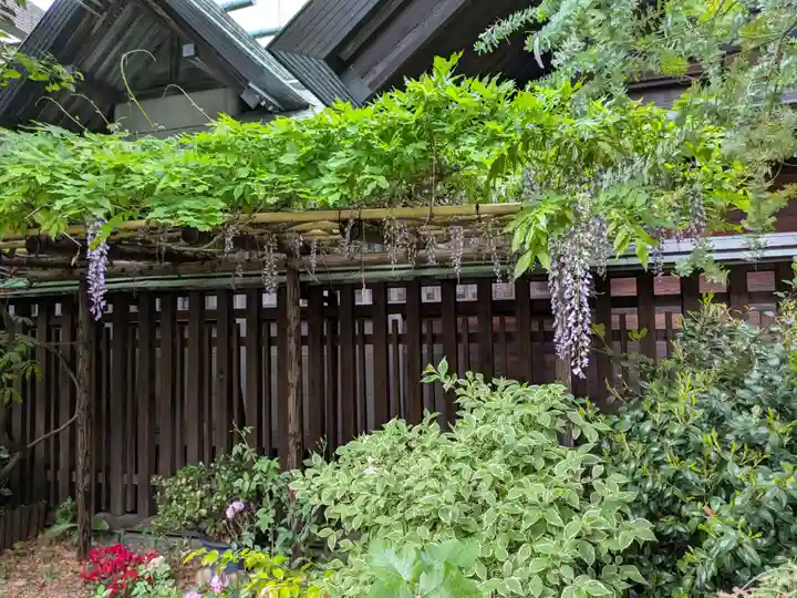 蔵前神社(東京都)