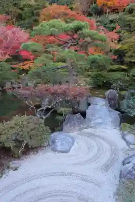 慈照寺（慈照禅寺・銀閣寺）(京都府)