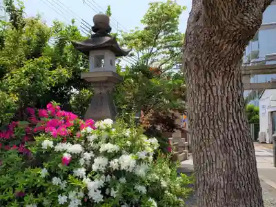 大物主神社の自然