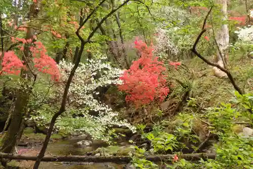 深山巴の宿の自然